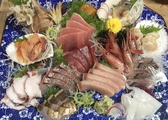 日本海の魚 一二三