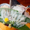 料理メニュー写真&nbsp;生簀より！泳ぎかわはぎ活造り