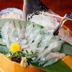 生簀より!泳ぎかわはぎ活造り
