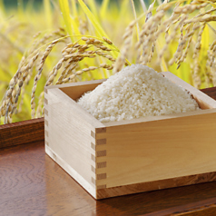 出屋敷あさひの写真2