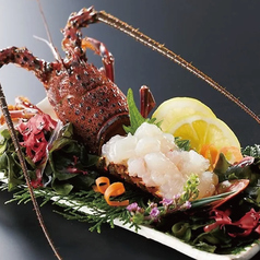 【天草産】伊勢海老の造り