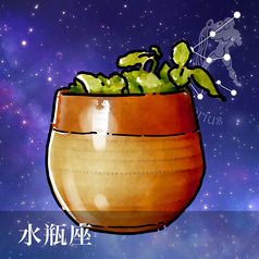 水瓶座