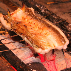 居酒屋　炉端 こうき屋の写真2