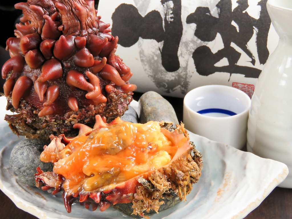 【天然ほや】の三陸居酒屋きりや　宴会コースもご用意しております。ほや付コースは4500円～