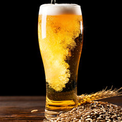 いくどん 小田急相模原店のコース写真