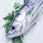 11月11日NEW OPEN！海酔へGOGO!!【ご飲食代金から10%※金土祝前日5％OFF】詳しい期間はクーポンをご確認ください。皆さまのご来店を心よりお待ちしています！