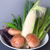 旬の北海道産の野菜たち