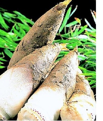 鮨 懐石 京料理 卓楽のコース写真