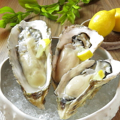 Tavernetta Salvatore タバルネッタ サルバトーレ 浦安のコース写真