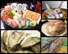 道東の狼 新鮮組の特集写真