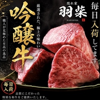 羽柴といったらこれ!