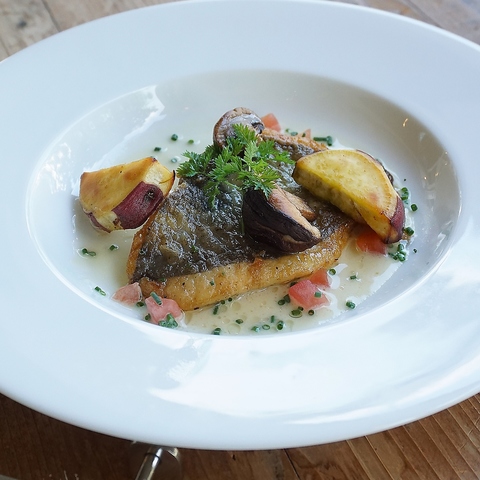 FLEX Cafe Chatty o[TCh