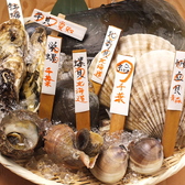 産地直送の新鮮魚介が味わえます！浜焼きで豪快にお楽しみください♪