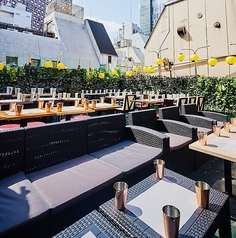 新宿ビアガーデン Rooftop Night Garden 新宿店の特集写真
