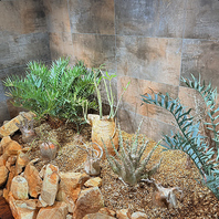 【自然に包まれたこだわりの空間】