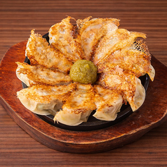 【オススメ！】寺山餃子