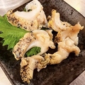 料理メニュー写真 ツブ貝刺身
