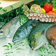 新鮮な魚介を使用した藁焼き料理や各種料理が多数！