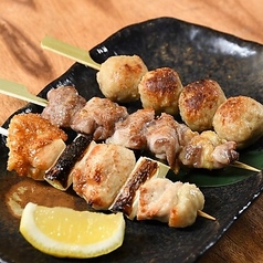 【日本三大地鶏】純系名古屋コーチン 串焼き盛り合わせ(三種 各一本)