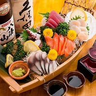 北海道産の鮮魚を使用した贅沢な海鮮料理をご用意！！