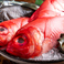 メニューは一例です。鎌倉・新島沖などの朝漁れの鮮度抜群の魚を中心に、旬のものを日替わりでご用意！