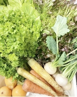 無農薬野菜を直送