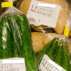 【地元の地魚・地野菜を用意しております】