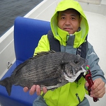 【酒元の鮮魚がうまい理由】店長が週2回、船釣りをしてるので新鮮さが違います!!