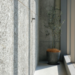 お昼の雰囲気4：店内にさりげなく佇む個性豊かな観葉植物達