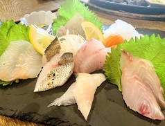 本日の刺盛　1人前