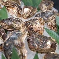 能登千里浜の天然岩牡蠣 &nbsp;