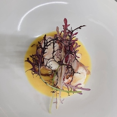 Fonte de Luce フォンテディルーチェの写真