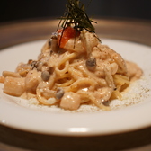 ハンピー humpyの写真