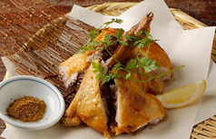 鳥あえず 金山店のコース写真