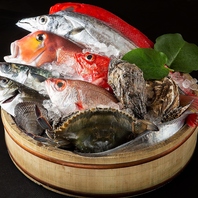 【鮮魚】地元の旬魚を！粋で洗練された味わい