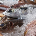 海鮮もまた旬のものを厳選。豊かな漁場として知られている岩手三陸の宮古市や大船渡市から直送される鮮魚や盛岡の市場で目利きした魚介など、鮮度・質ともに納得のいくものを使用しております。