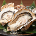 料理メニュー写真&nbsp;生牡蠣