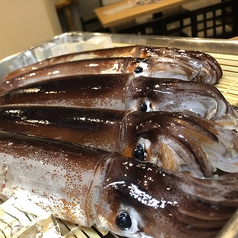 県産食材にこだわり新鮮な魚菜で本格料理をご提供◎