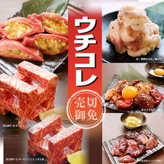 情熱ホルモン 新宿 思い出横丁酒場のおすすめ料理1