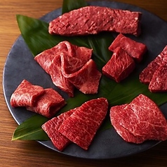 焼肉ホルモン 龍の巣 銀座７丁目G7の特集写真