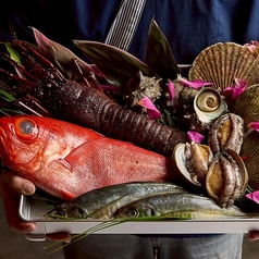 居酒屋 魚や海虎 関内店特集写真1