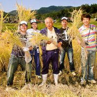 美味しいお米収穫しました