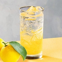 本格果実入りソーダ　果肉のそのままのおいしさが楽しめる