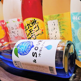 彩り豊かなお酒♪男女ともに楽しめる。カクテルじゃなく、たまには果実酒もご堪能ください。