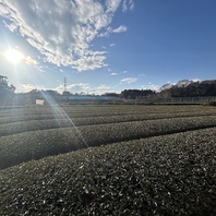 茶葉選びへのこだわり