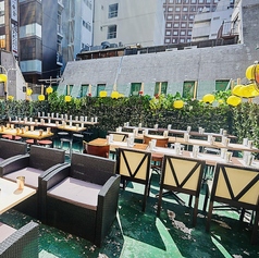 【お通し&席料なし】新宿ビアガーデン Rooftop Terrace 新宿店の特集写真