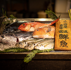 湘南鮮魚と炭焼牛たん かっこ藤沢南口店のおすすめ料理2