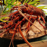 五感で味わう、宮崎の食文化の結晶