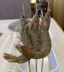 大海老