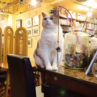 【◇猫たちとのふれあいを大切に◇】